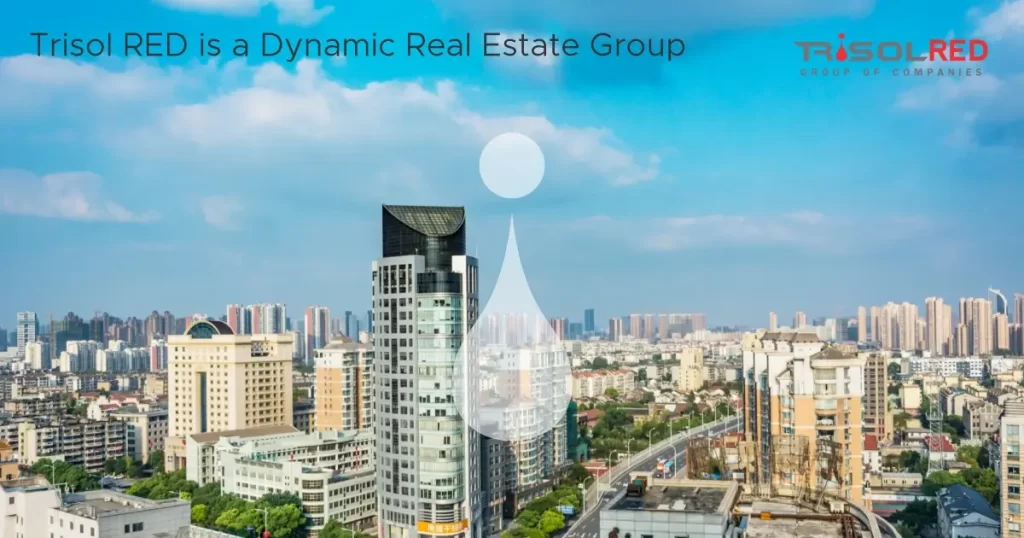 Trisol RED is a Dynamic Real Estate Group